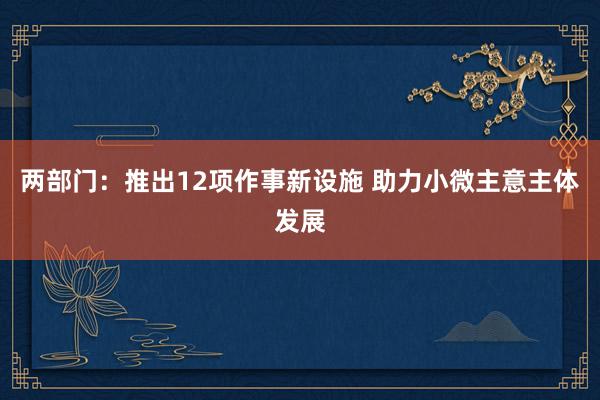 两部门：推出12项作事新设施 助力小微主意主体发展