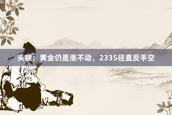 头狼：黄金仍是涨不动，2335径直反手空