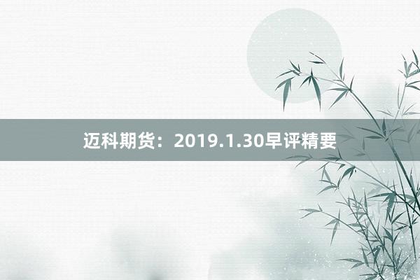 迈科期货：2019.1.30早评精要