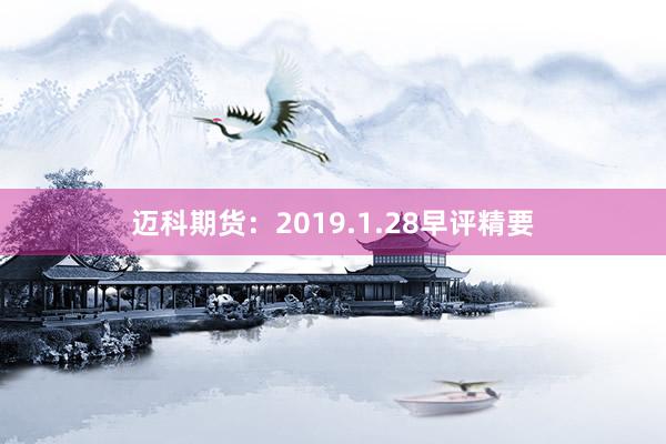 迈科期货：2019.1.28早评精要