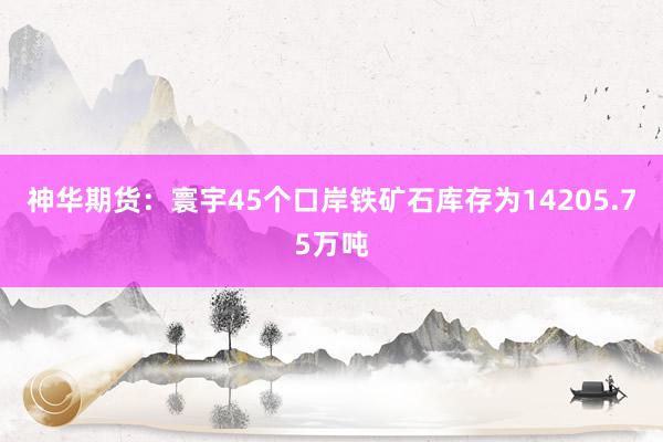 神华期货：寰宇45个口岸铁矿石库存为14205.75万吨