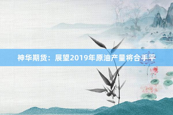 神华期货：展望2019年原油产量将合手平