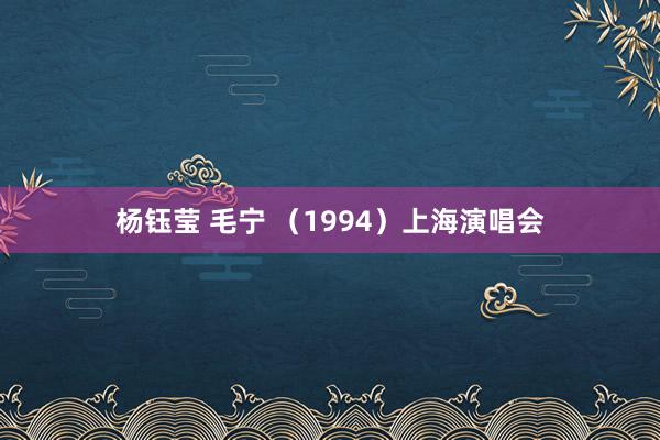 杨钰莹 毛宁 （1994）上海演唱会