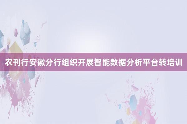 农刊行安徽分行组织开展智能数据分析平台转培训