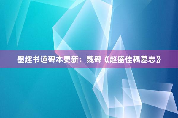 墨趣书道碑本更新：魏碑《赵盛佳耦墓志》