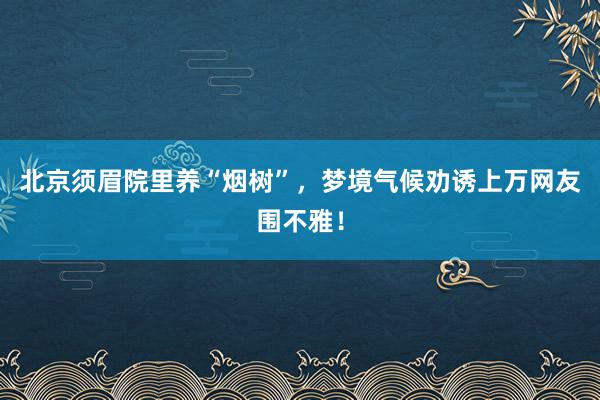 北京须眉院里养“烟树”，梦境气候劝诱上万网友围不雅！