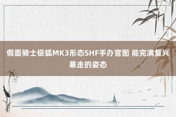 假面骑士极狐MK3形态SHF手办官图 能完满复兴暴走的姿态