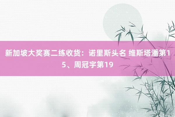 新加坡大奖赛二练收货：诺里斯头名 维斯塔潘第15、周冠宇第19