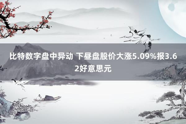 比特数字盘中异动 下昼盘股价大涨5.09%报3.62好意思元